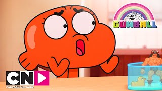 Мульт Удивительный мир Гамбола Домашняя черепашка Cartoon Network