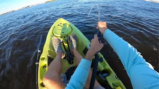 Accidentally Caught a River Monster While Sheepshead Fishing