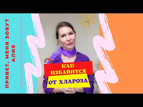 Как избавиться от хлороза ?