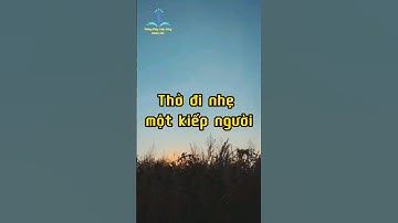 Thở đi nhẹ một kiếp người I Thơ hay triết lí sống I Radio Thông Điệp Cuộc Sống