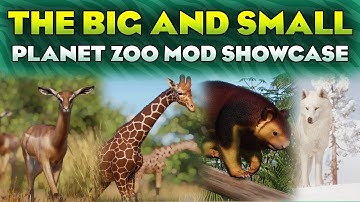 ⭐ THE BIG AND THE SMALL! Planet Zoo Mod Showcase