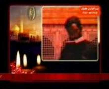     باز هم مرغ دلم 