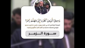 تلاوة مؤثرة | للقارئ عمر عبدالله سلطان | من سورة الزمر