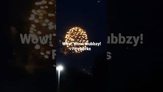 Wow Wow Wubbzy Fireworks
