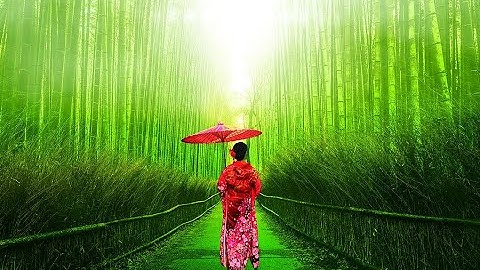 Tỉnh Mộng | Tập 3 | Hồ Biểu Chánh  .:: Truyện Đệm Muộn ::.