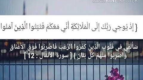 تلاوة رائعة مجودة  بصوت المنشاوي [ سورة الأنفال : 12 ]