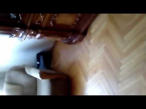 დამთავრდა სკოლა და  ჩანთაც აღარ გვჭირდება