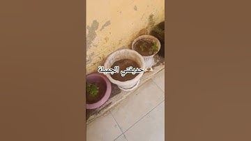 #سورة_إبراهيم #عبدالباسط #تلاوة_مرتلة #قرآن_كريم #تلاوة_مجودة #اكسبلور #اهميه #لايك