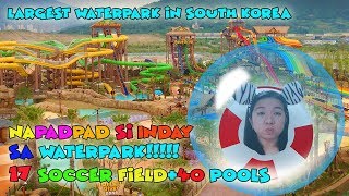 Gimhae Lotte Water Park(김해롯데워터파크)The Largest Waterpark