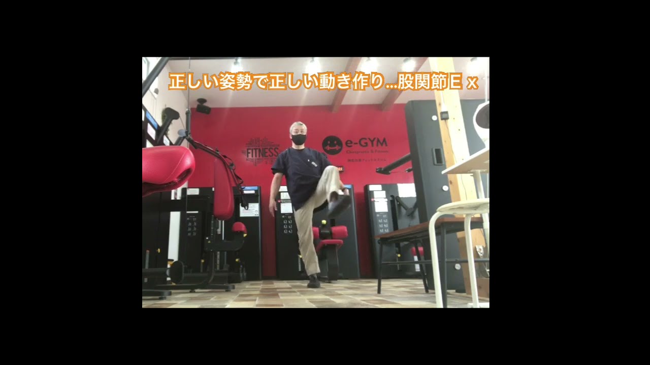 Amazon.co.jp: 写真で見る姿勢均整術と整復手技 : 長谷 愼一: 本