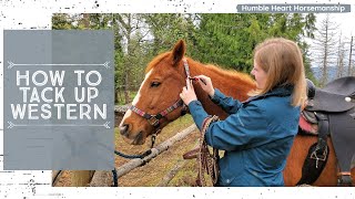 How to Tack Up a Horse Western Style