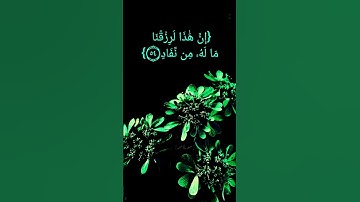 سورة ص الآية ٤٨ الى ٥٨ بصوت الشيخ سعود الشريم