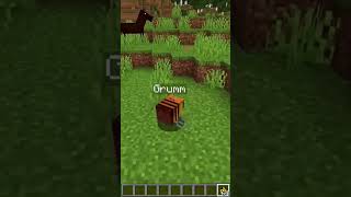 TNT, abelha 🐝, morcego 🦇 e zumbi aldeão 🧟 #minecraft