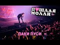 ПОШЛАЯ МОЛЛИ — Паки пуси | 21.02.2020 Нижний Новгород