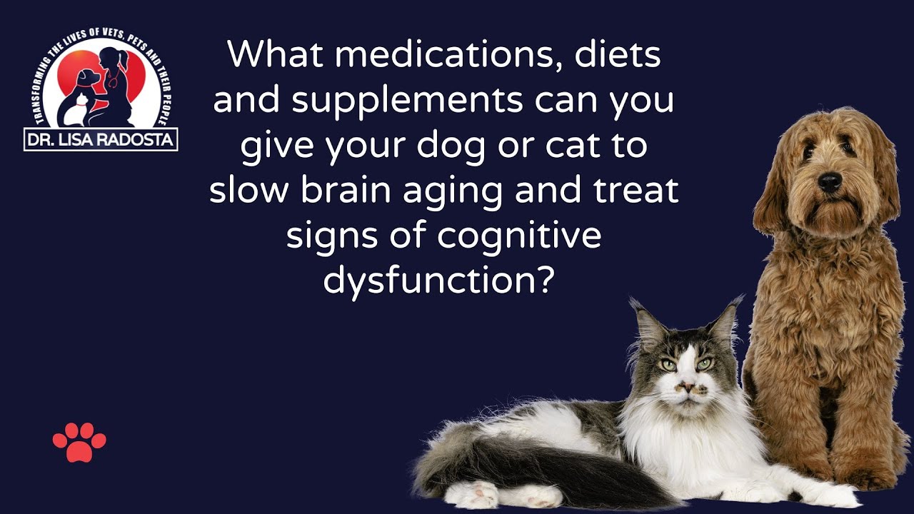 Medications, diets and supplements to slow brain aging and treat CDS in dogs and cats.
