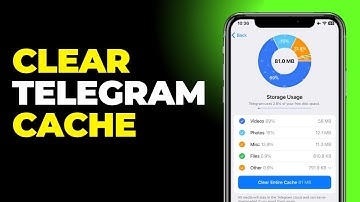 How to Clear Telegram App Cache in 2025 on Mobile (Complete Guide)