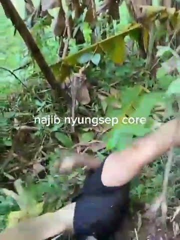 ketawa mas kiki nularrðŸ˜ðŸ˜ðŸ˜ #fy #beranda #najib #masnajib #kusumawara #masukberanda #gwsm