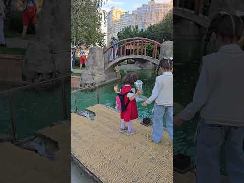 تالين زعلت لأن ماشافت سمك بلمي  