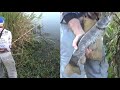 Quando a varinha de bambu enverga é sinal que o peixe é grande, Pescaria