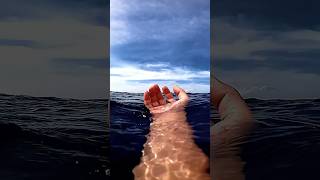 Celebrity Why some People Keep Grudges for Years  | Psychology Behind Holding Resentment Net Worth