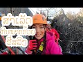 Pineapple Let&#39;s go! Ep 02 - The Rockview Point