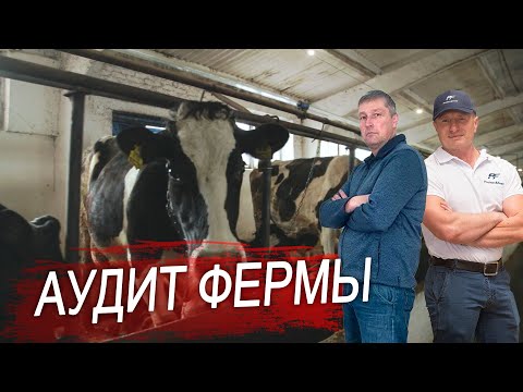 Аудиторский контроль фермы.