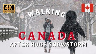 🇨🇦  Snowstorm in Canada ☃️ | Ottawa Snow Walk Walking Tour [4K Ultra HDR/60fps]