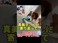ママが帰ってきた日。兄デコピンの優しさにほっこり【バズってます】