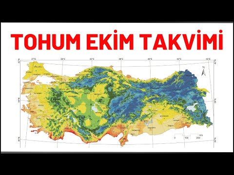 Video: 8. Bölge İçin Tohum Başlangıç Programı - 8. Bölge Bahçelerine Tohum Ekme İpuçları