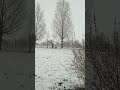 Снегопад. И музыка из детства