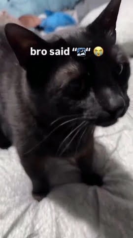 bro said “music_pk.mp3” 😭