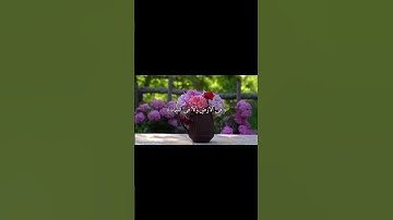 طمأنينة ⛥.. #قرآن_كريم #سورة_آل_عمران #عبدالرحمن_مسعد #اترك_اثرا_طيبا_بذكر_الله