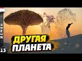 СОКОТРА | Инопланетный остров, где нет туристов | Что такое кровь дракона?