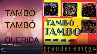 TAMBO TAMBO-QUERIDA (LETRA-LYRICS)