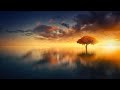 Transcendental | Chillstep Mix | 2024