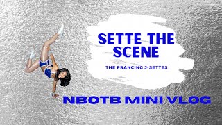 Sette the Scene - Houston Mini Vlog