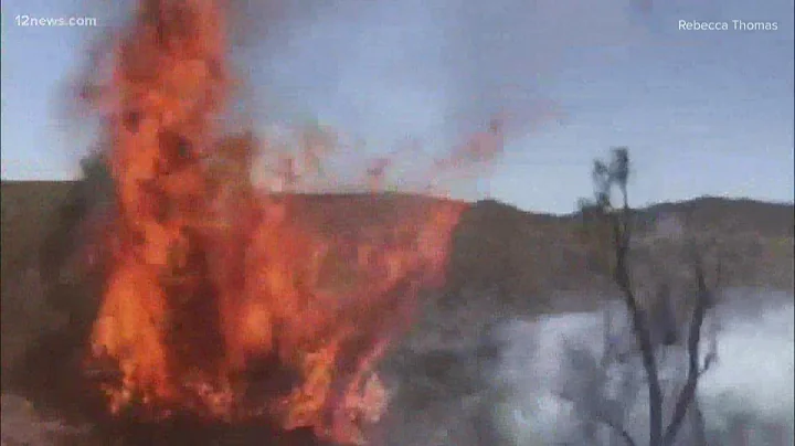 Family has dangerous encounter with Arizona wildfire while off-roading