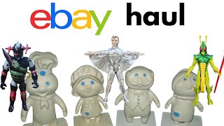 EBAY HAUL | Pillsbury | Dungeons &amp; Dragons | SilverHawks | She-Ra | Micronauts 