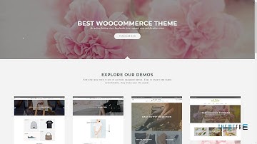 Gecko - Powerful Ajax WooCommerce Theme      Tobias Hervey