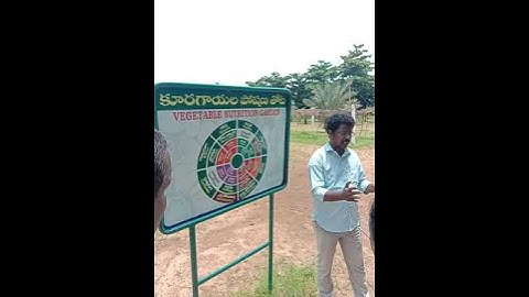 Dr.Y S R Horticultural University #nutrition#Garden#vegetable#venkataramannagudem🌾🌹🐠🐟🐒