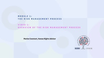 Module 1 Video 1: Overview of the Risk Management Process