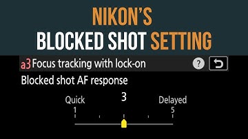 Nikon Focus Tips: Prevent AF from Jumping to the Wrong Subject