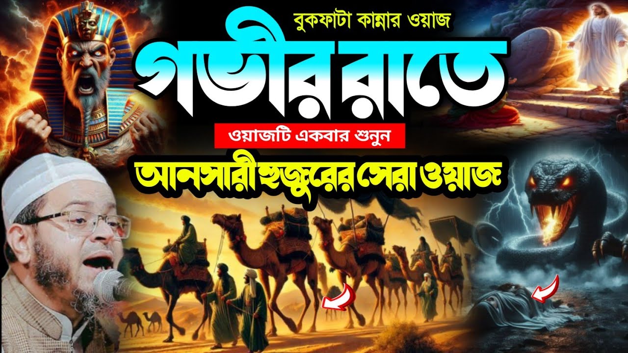 আনসারি হুজুরের সেরা ওয়াজ | Best Islamic Waz by Ansari Huzur | Mafil Media S 24 | Bayan Bangla