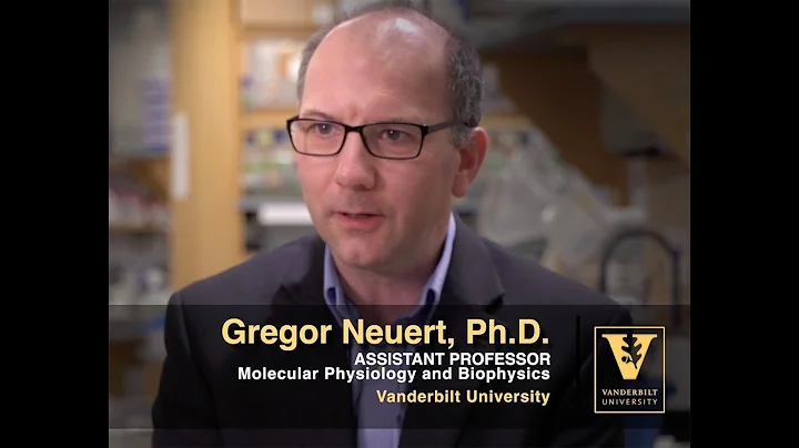 Gregor Neuert Research Overview   Single Cell Systems Biology