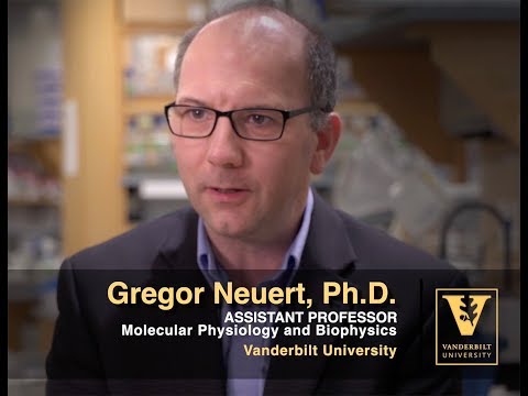 Gregor Neuert Research