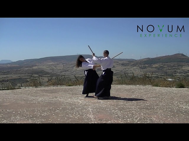 10 Kumi jo jiū - Aikido Novum Experience - Kumi jo Juppon -  組み杖十 - 組み杖十本  - 合氣道 - 合氣杖