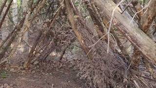 (Partie 1 dso pour la fin) On construit une cabane dans le bois ft mes amis