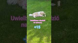 Jak Bardzo Jesteś Podobn Do Tedka? シViral Ę