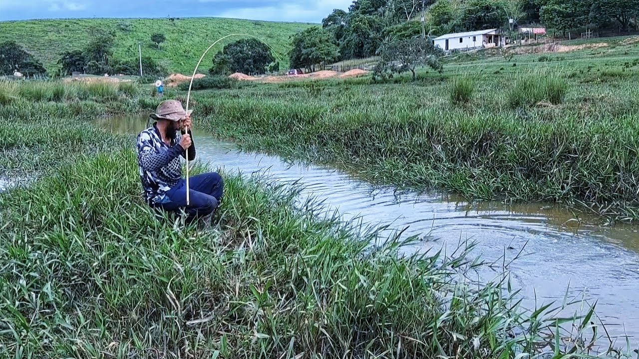 Ele disse que tinha gigantes de mais de 10 kg e minha vara de bambu iria quebrar! Pescaria caipira