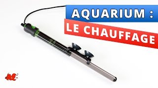 Aquarium : le Chauffage